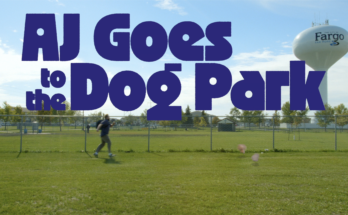 Text that reads "AJ Goes to the Dog Park" above a dog park where AJ chases after his two dogs who have blown away in the wind.